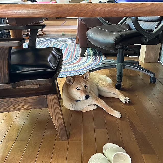 midoさんの実例写真