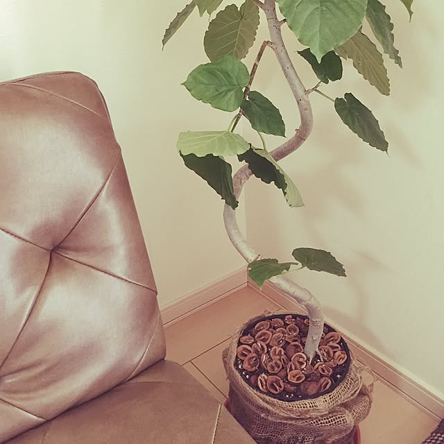 minatonさんの実例写真
