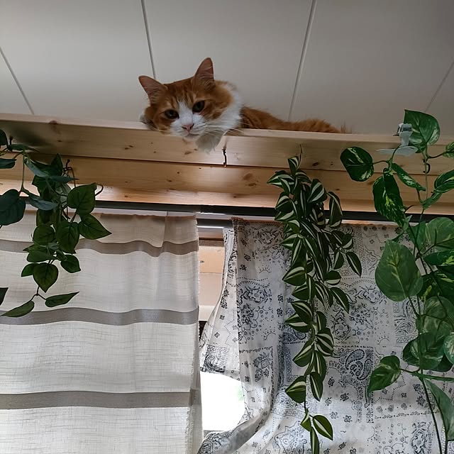 mori_6_12さんの部屋