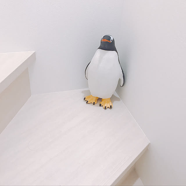 ho-chanさんの実例写真