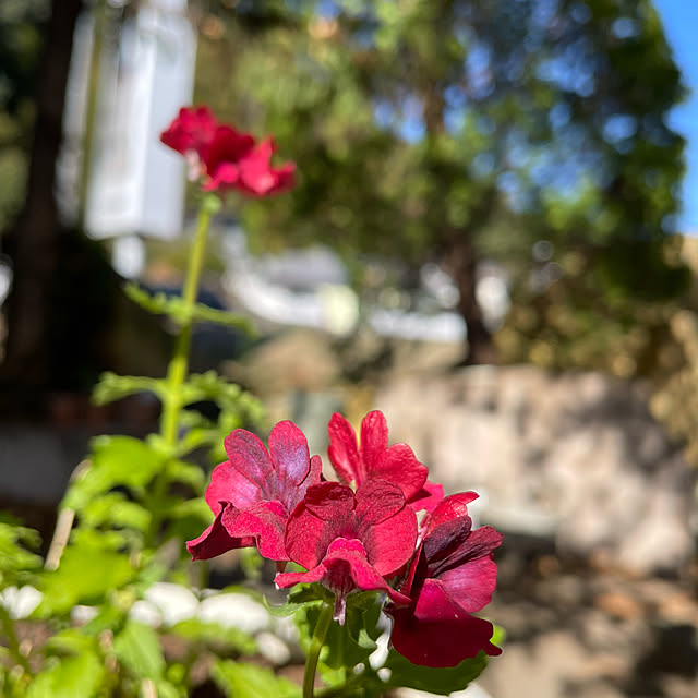 natsumiさんの部屋