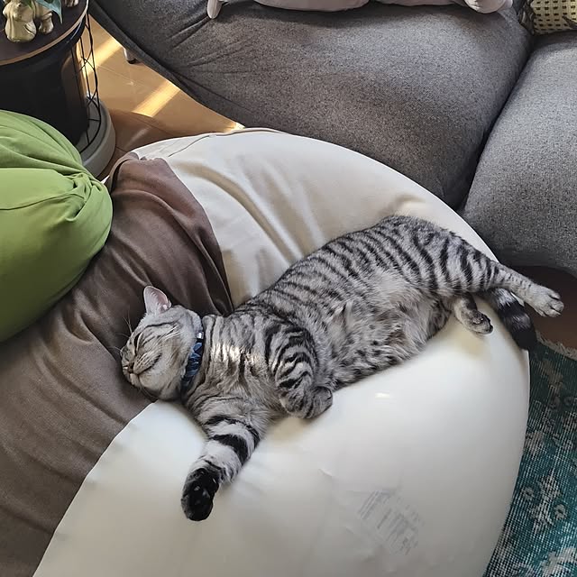 hiro3さんの部屋
