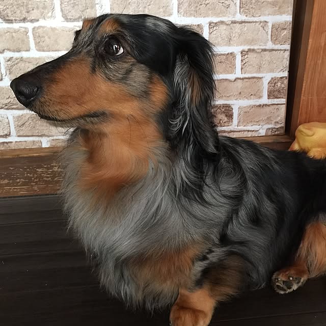 nonpiiiさんの実例写真