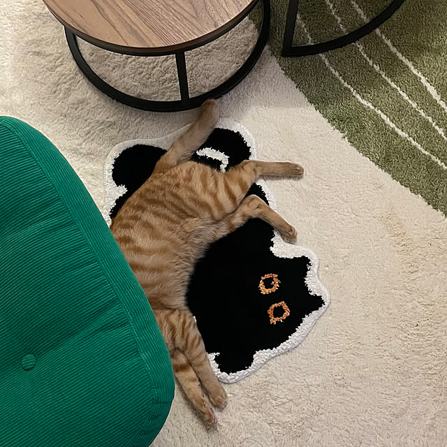 risaさんの実例写真