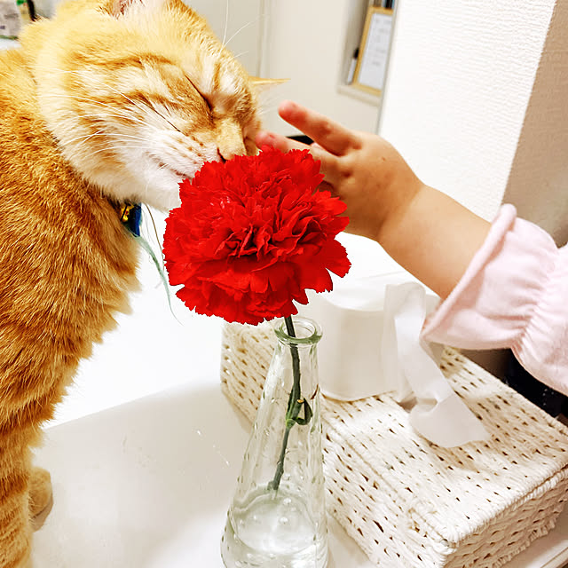 yun.mkrさんの実例写真