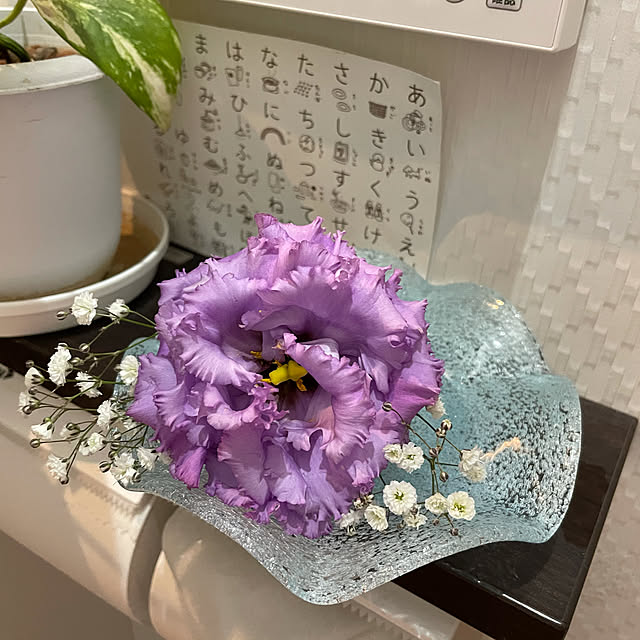 yuriさんの実例写真