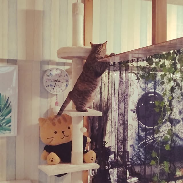 runaさんの部屋