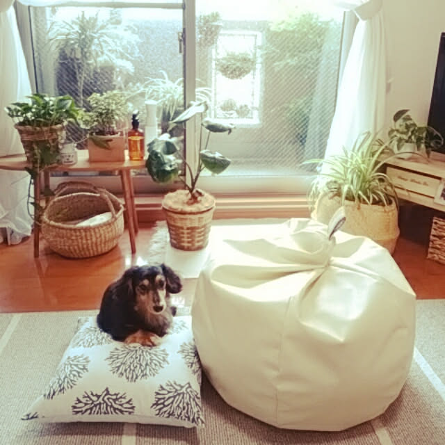 reonさんの実例写真