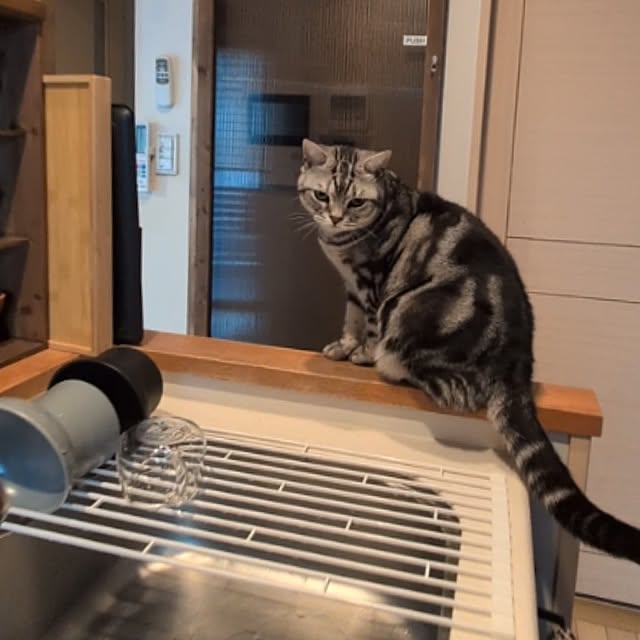 lovepeaceさんの部屋