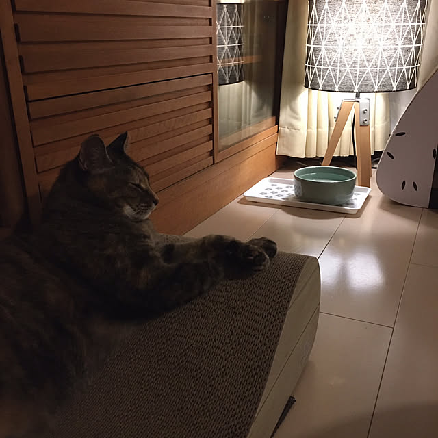 oasisさんの実例写真