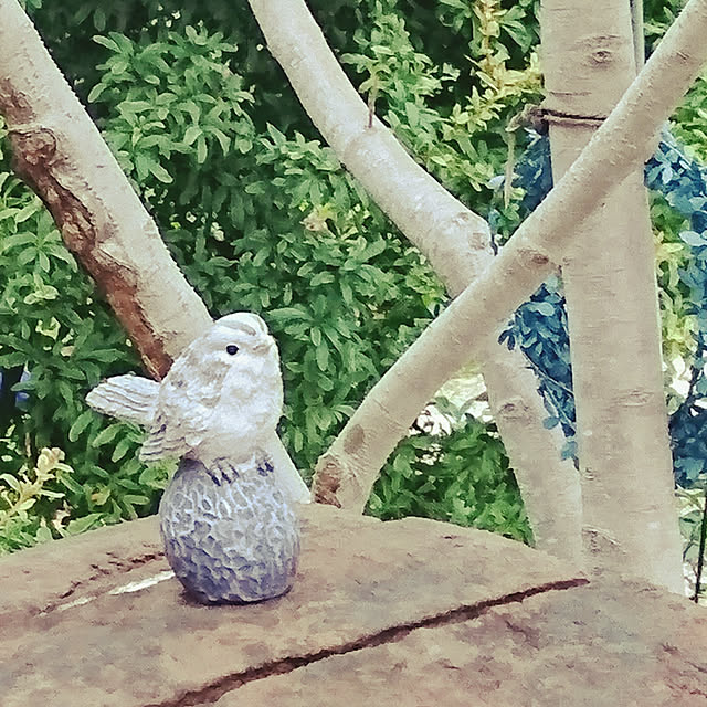 moku2さんの実例写真