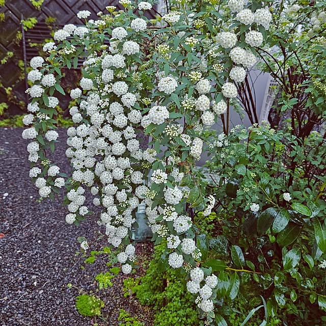 mocomocoさんの部屋