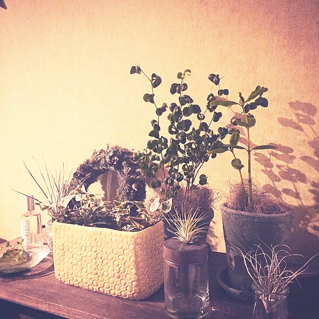 Teaさんの実例写真