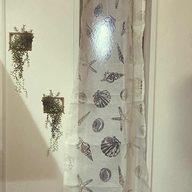 miche.1220さんの実例写真