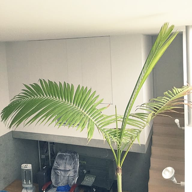 DAICHIさんの実例写真
