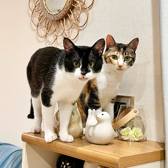 Miyu_さんの部屋