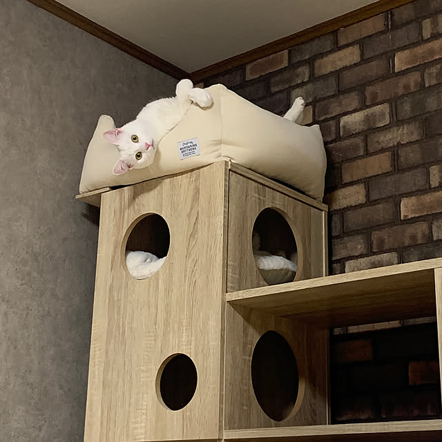 keiさんの実例写真