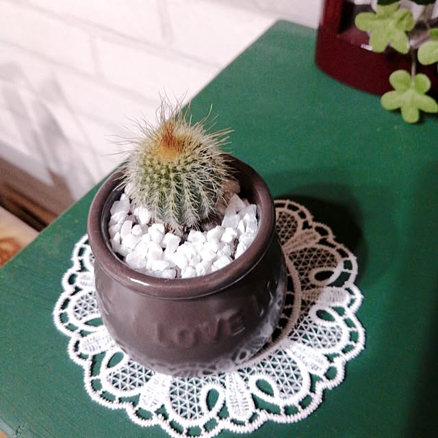 yokkoさんの部屋