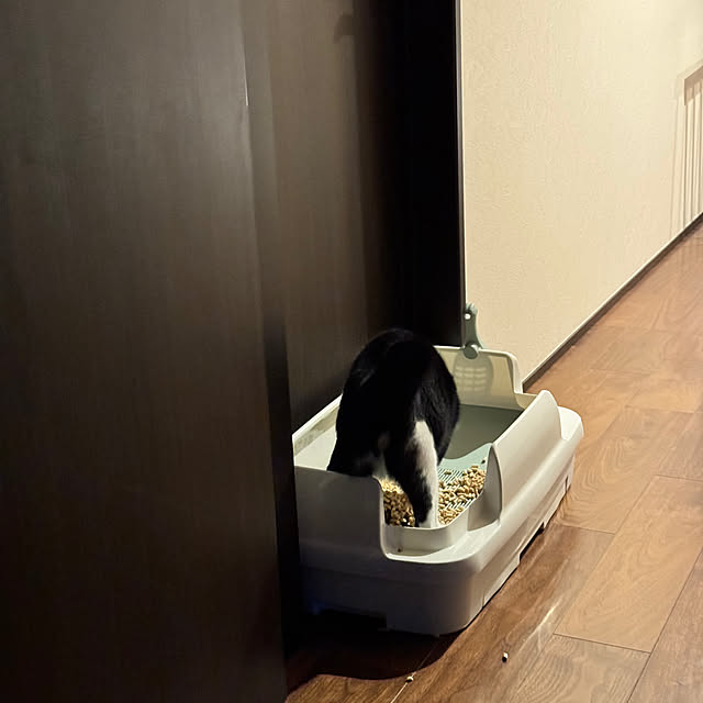 porinさんの実例写真