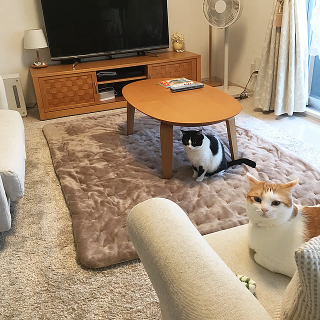 bikkeさんの実例写真
