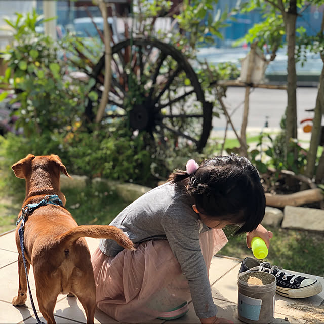 Yukoさんの実例写真