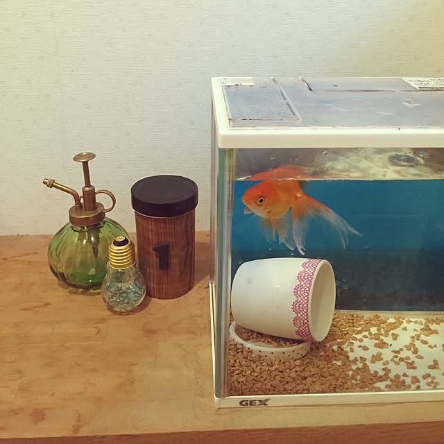 Akiさんの実例写真
