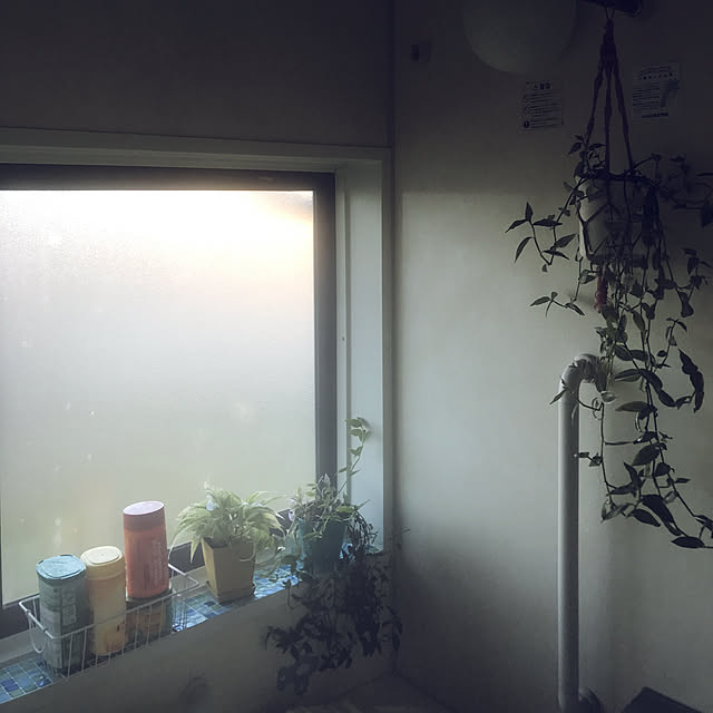 ariceさんの実例写真