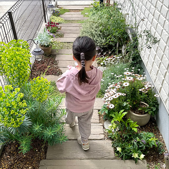 elephant_08さんの実例写真
