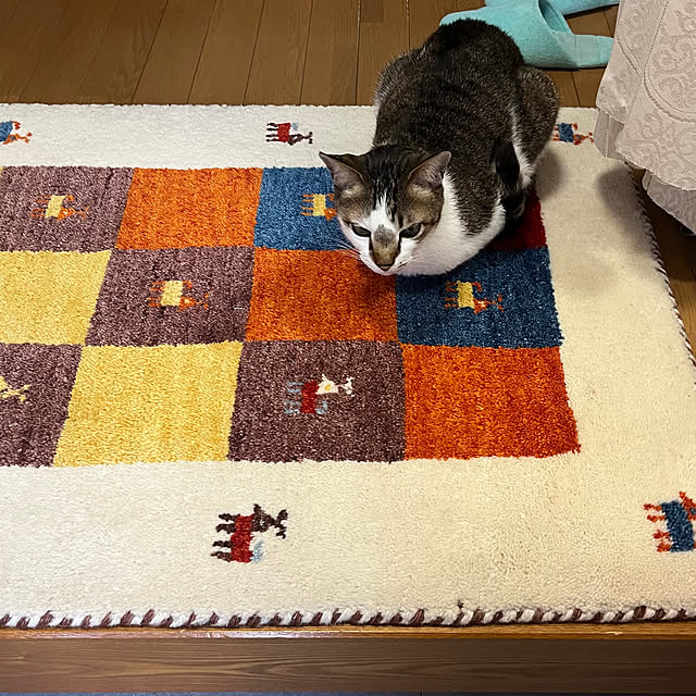 haruminさんの部屋