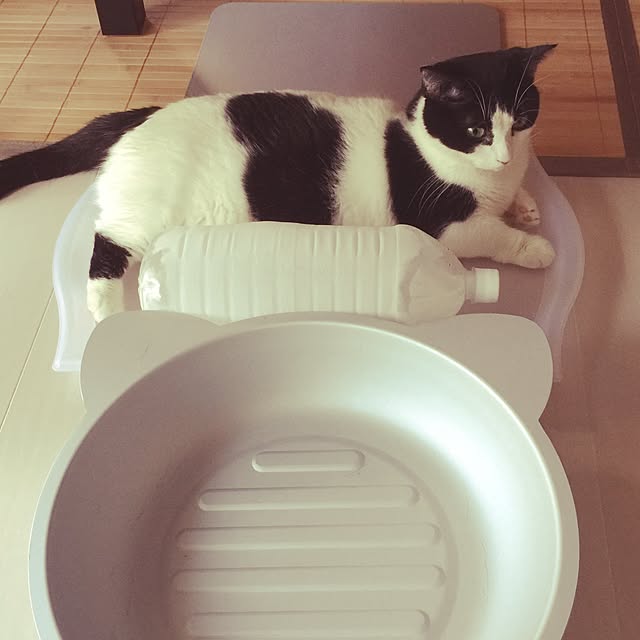 neuruさんの実例写真