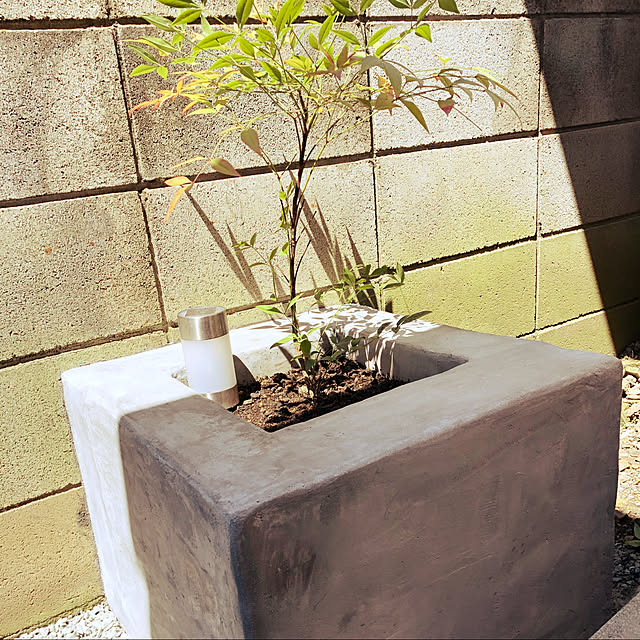 cocoaさんの実例写真