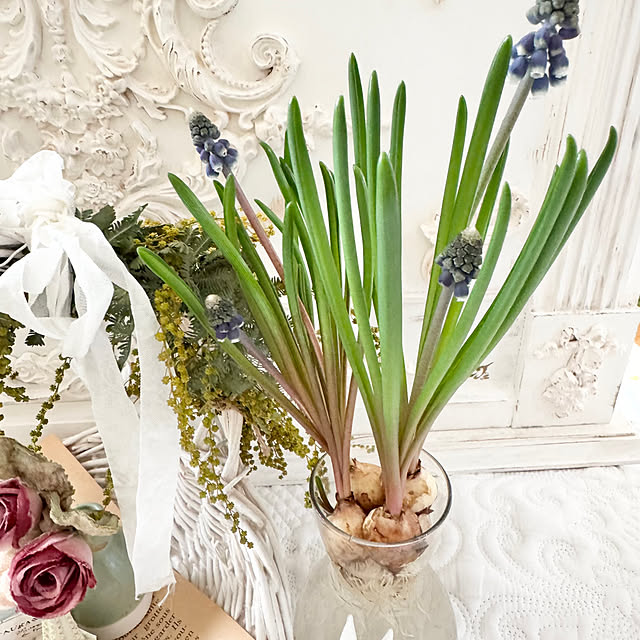 Chigusaさんの部屋