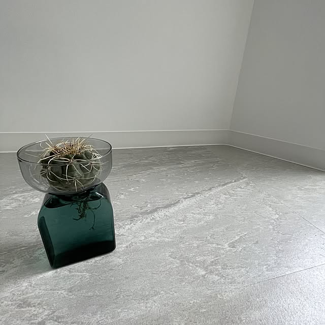 airpuricさんの実例写真