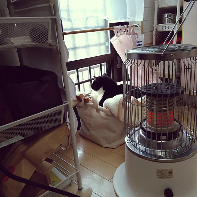 koromaroさんの実例写真