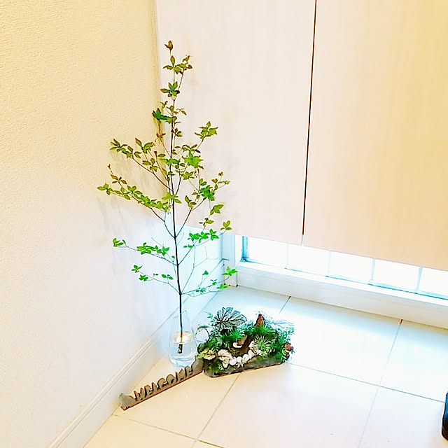 comameさんの実例写真