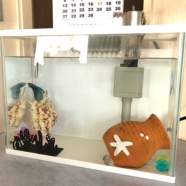 ayuさんの実例写真