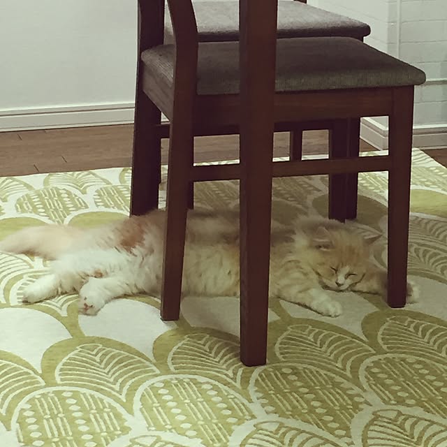 favorlyさんの実例写真