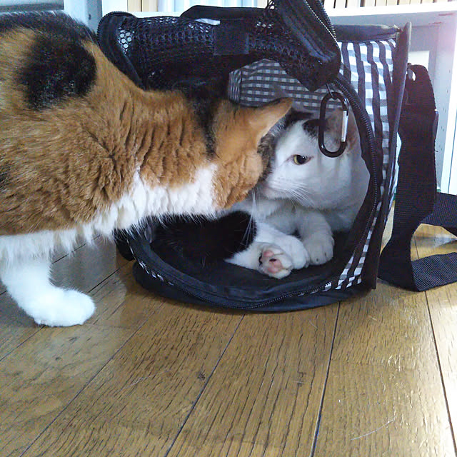 yukieさんの実例写真