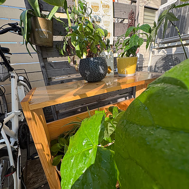 hirariさんの部屋