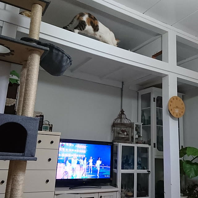 taleo07さんの実例写真