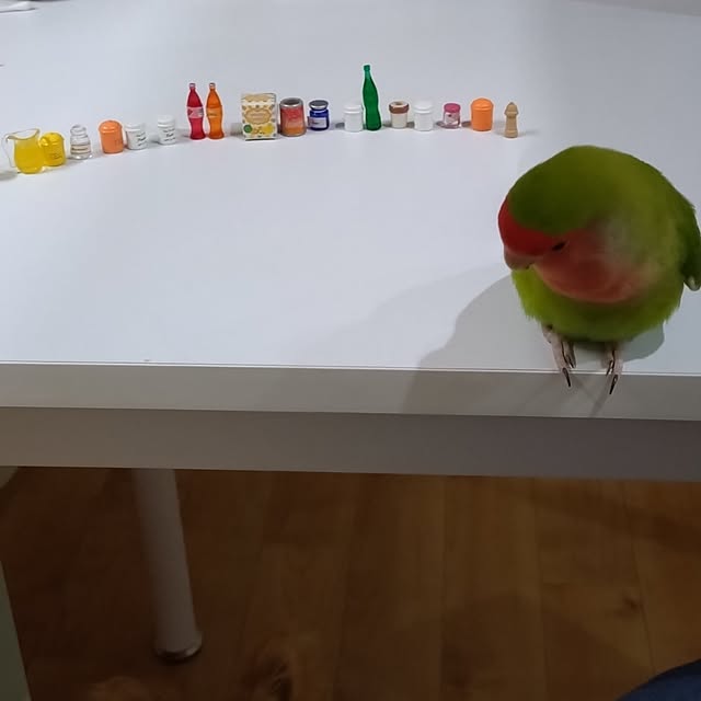 toratanさんの実例写真