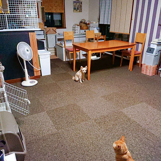 kikiさんの実例写真
