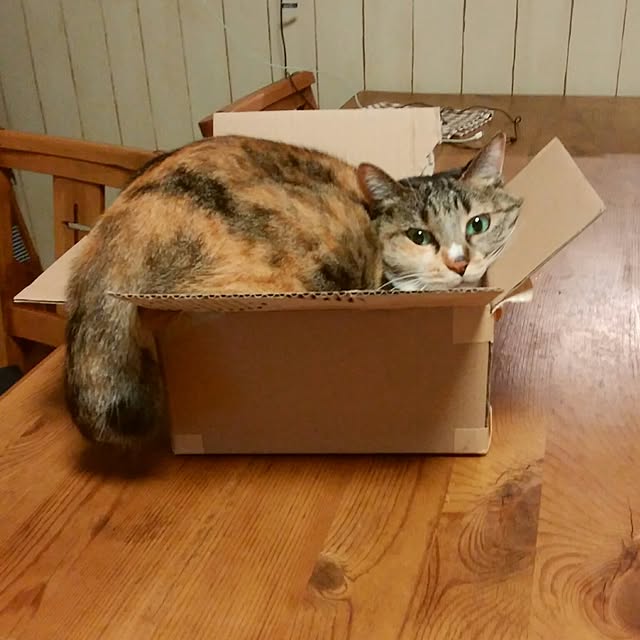 tomo1220さんの実例写真