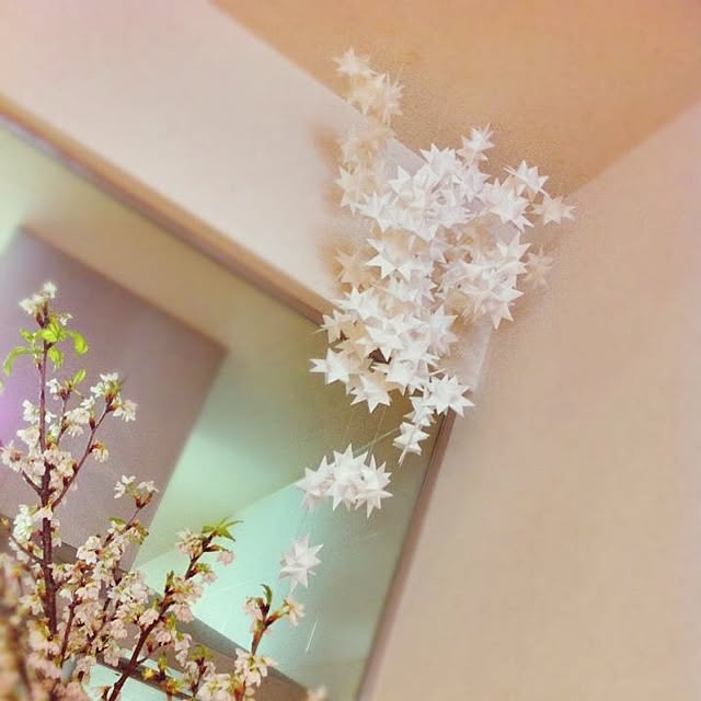 kokotaroさんの実例写真