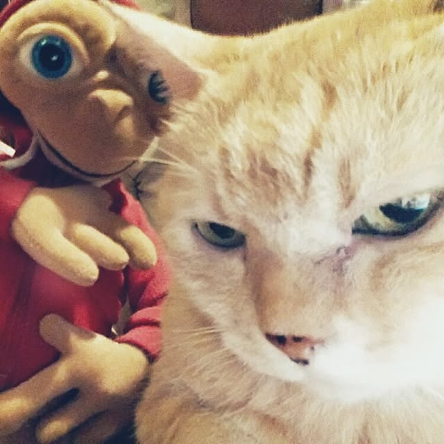 ayaca_kunさんの実例写真