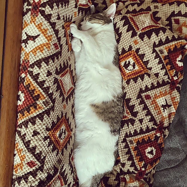 Lufuさんの実例写真
