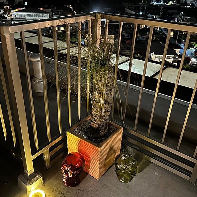 endlesssummerさんの部屋