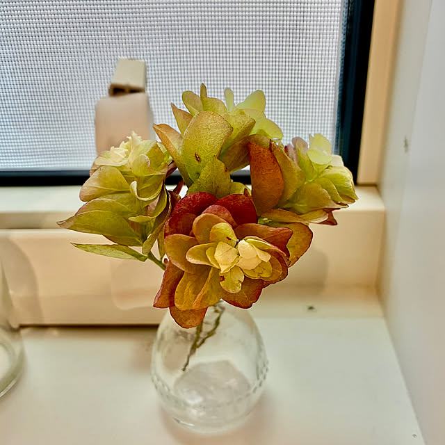 sasasaさんの部屋