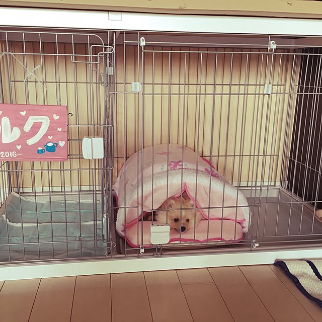 youhiromamasakoさんの実例写真
