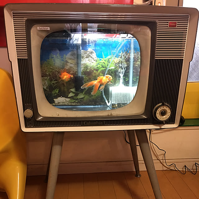 wagenbug10220418さんの実例写真